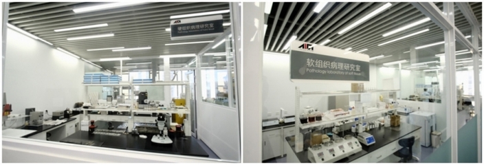 上海技術(shù)服務有限公司 專業(yè)驅(qū)動，智領未來